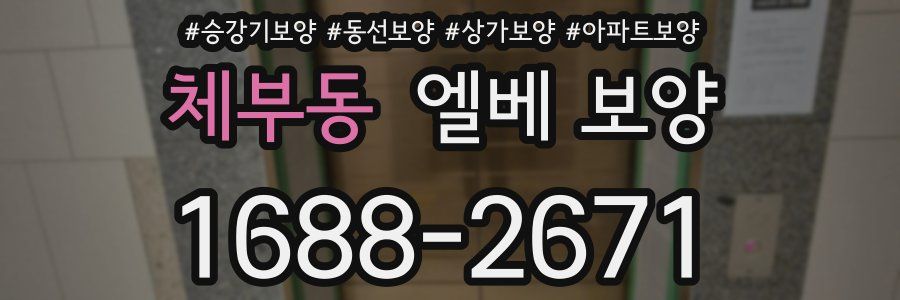 체부동 엘베 보양