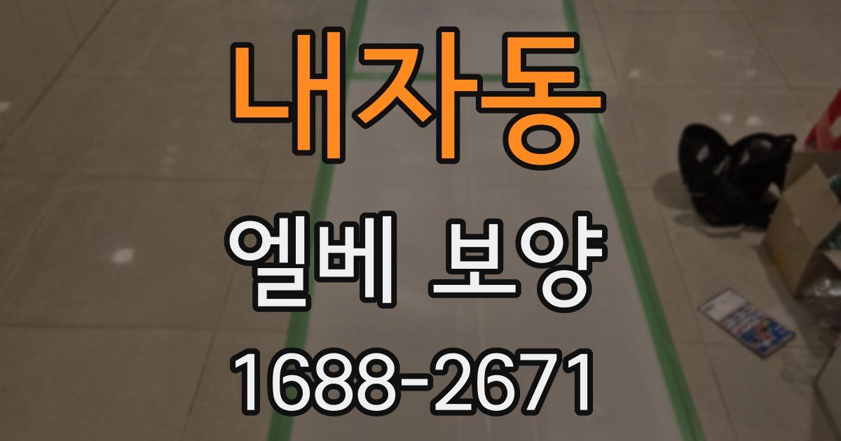 내자동 엘베 보양