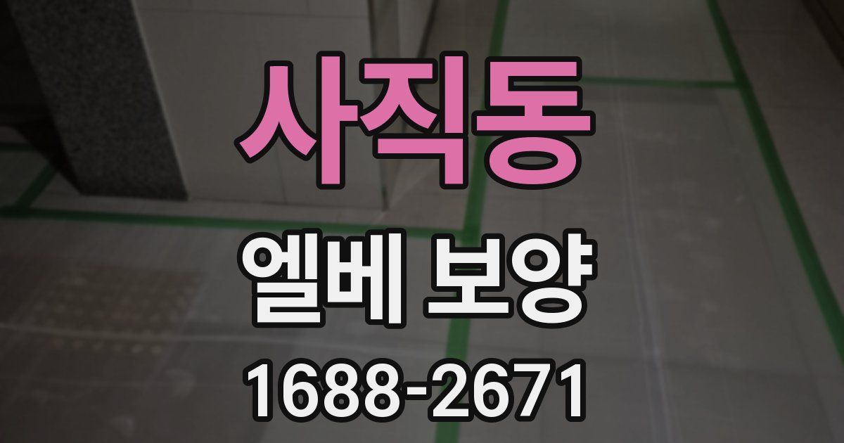 사직동 엘베 보양