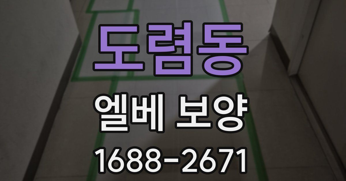 도렴동 엘베 보양