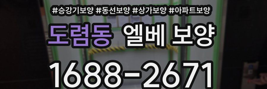 도렴동 엘베 보양