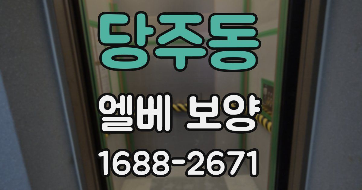 당주동 엘베 보양