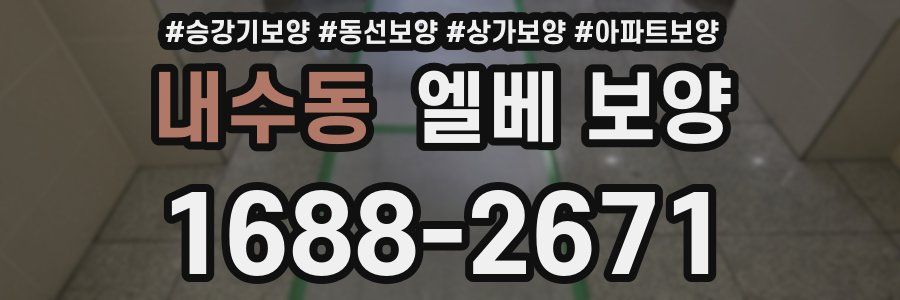내수동 엘베 보양