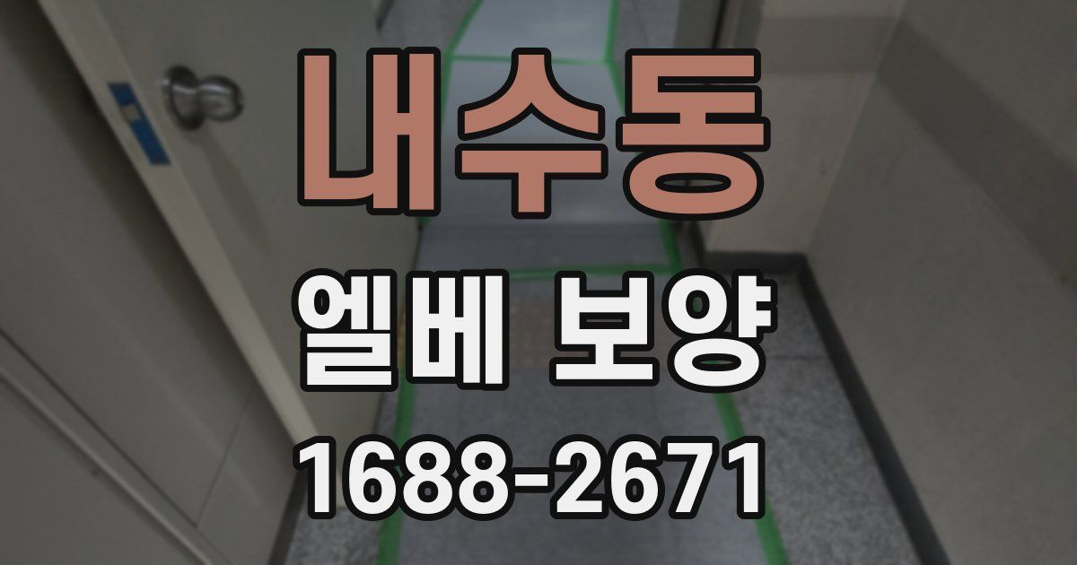내수동 엘베 보양