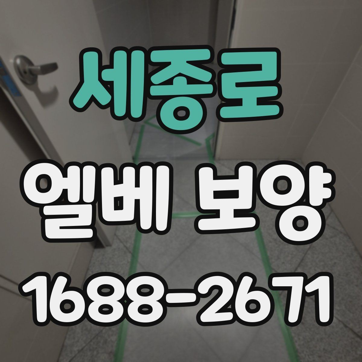 세종로 엘베 보양 현장마다 달라지는 보호 범위와 순서