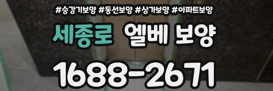 세종로 엘베 보양