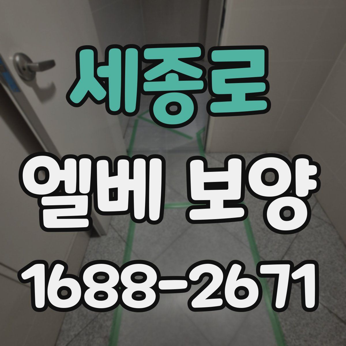 세종로 엘베 보양