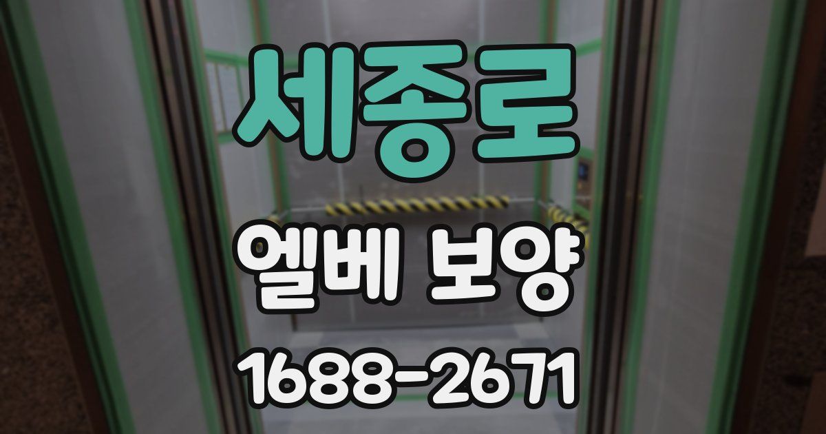 세종로 엘베 보양