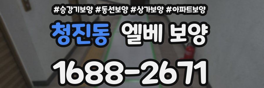 청진동 엘베 보양