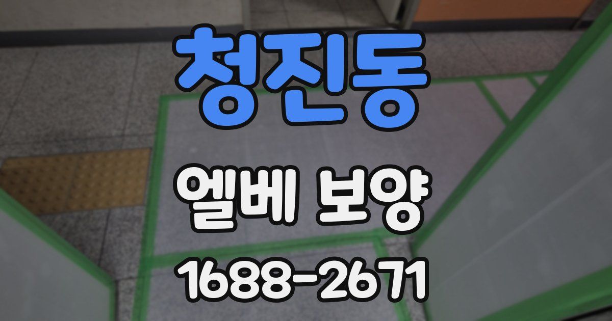 청진동 엘베 보양