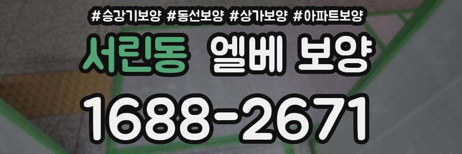서린동 엘베 보양