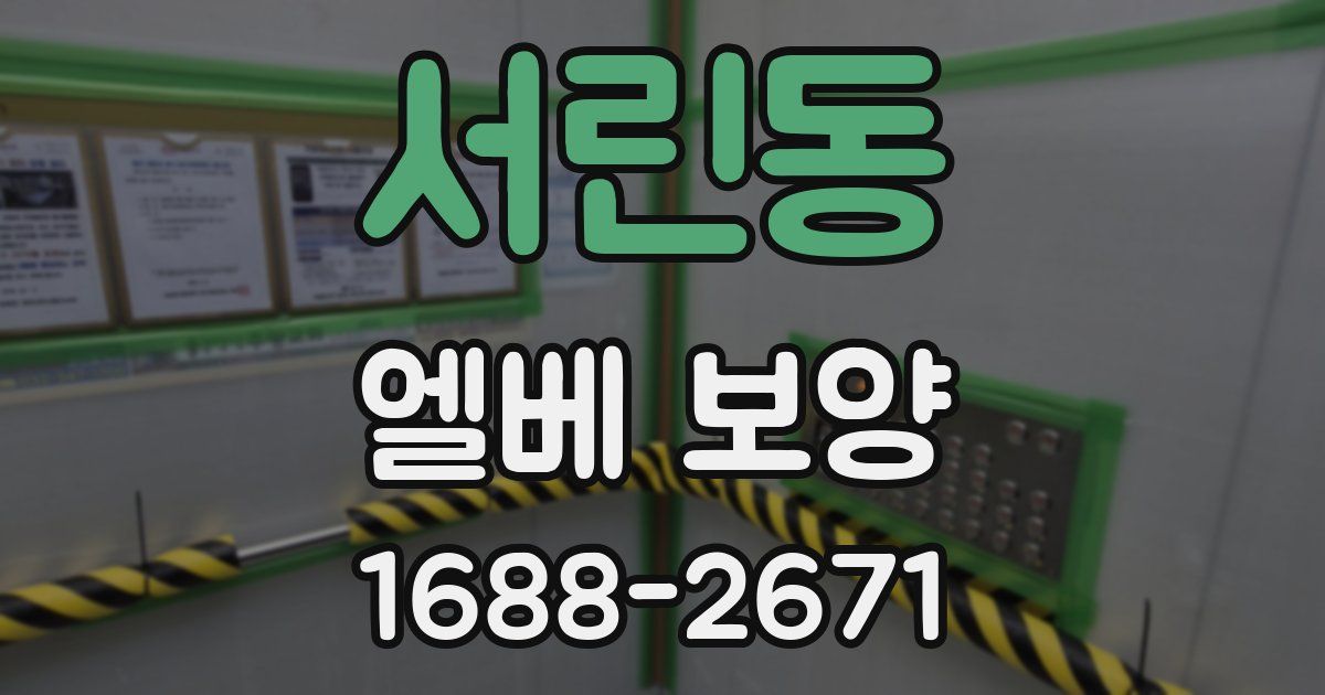 서린동 엘베 보양