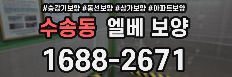 수송동 엘베 보양