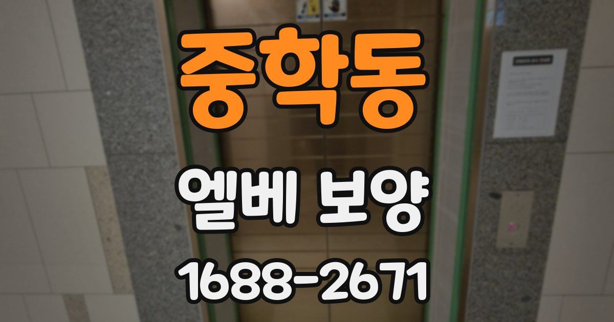 중학동 엘베 보양