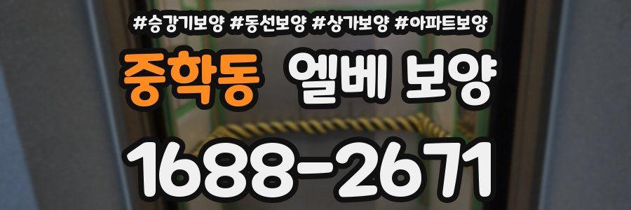 중학동 엘베 보양