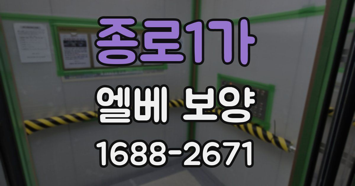 종로1가 엘베 보양