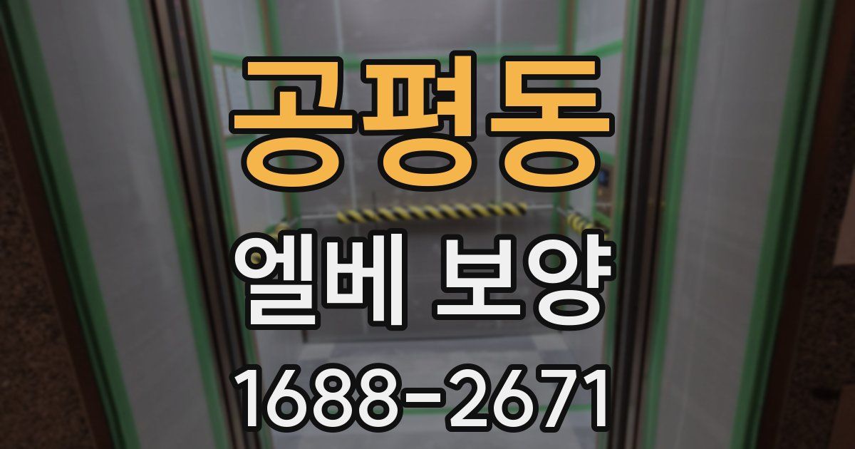 공평동 엘베 보양
