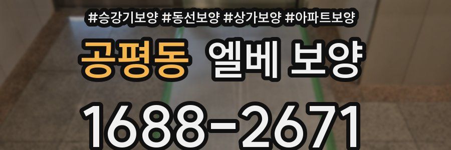 공평동 엘베 보양