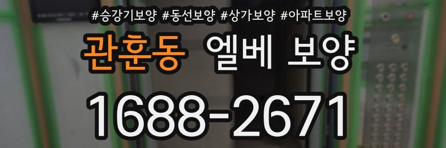 관훈동 엘베 보양