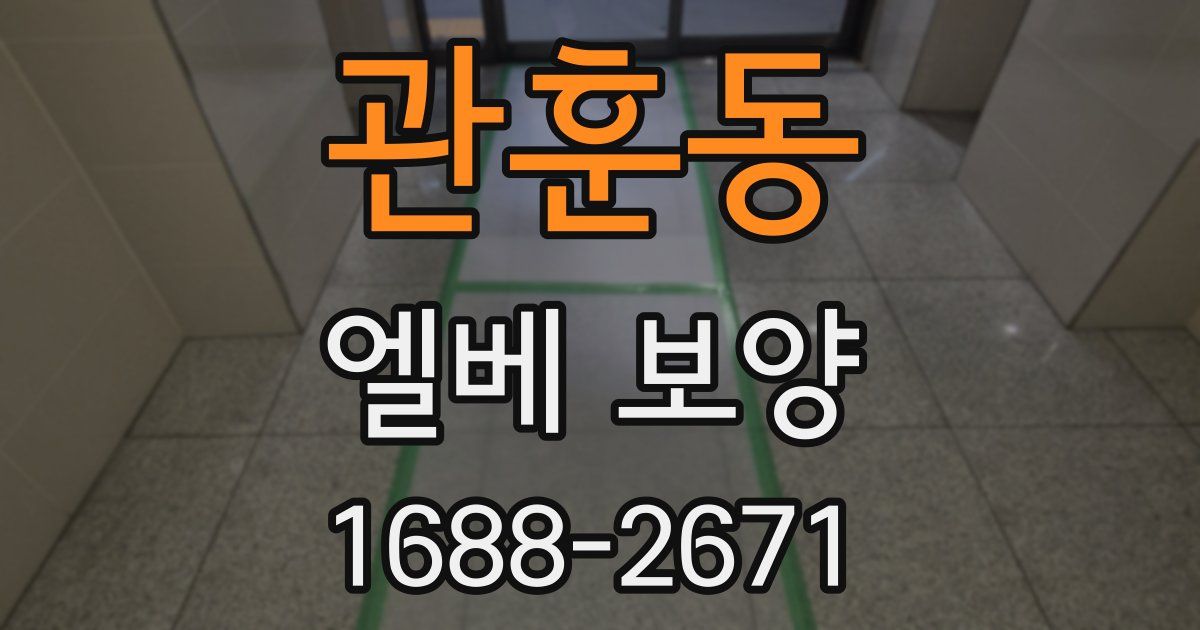 관훈동 엘베 보양