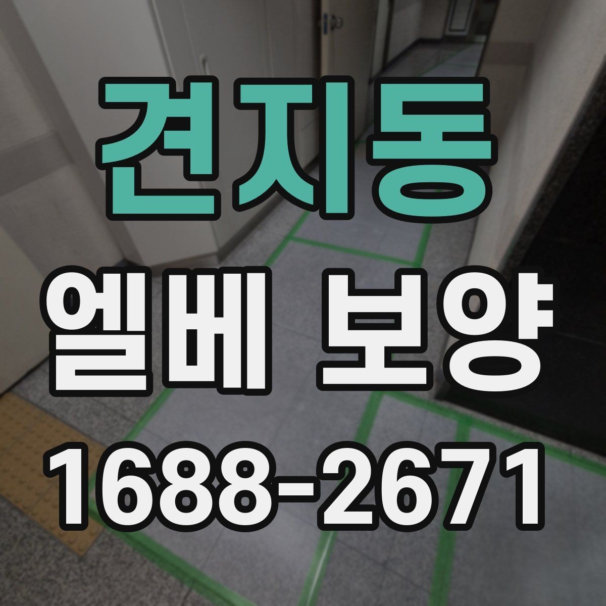 견지동 엘베 보양 철거 없이 깔끔하게 마감하는 실무 포인트