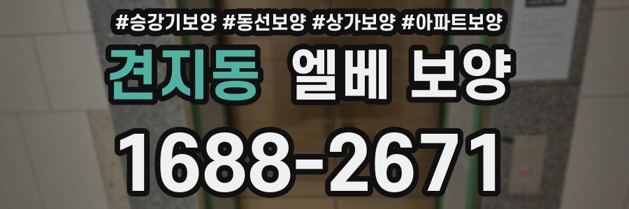 견지동 엘베 보양