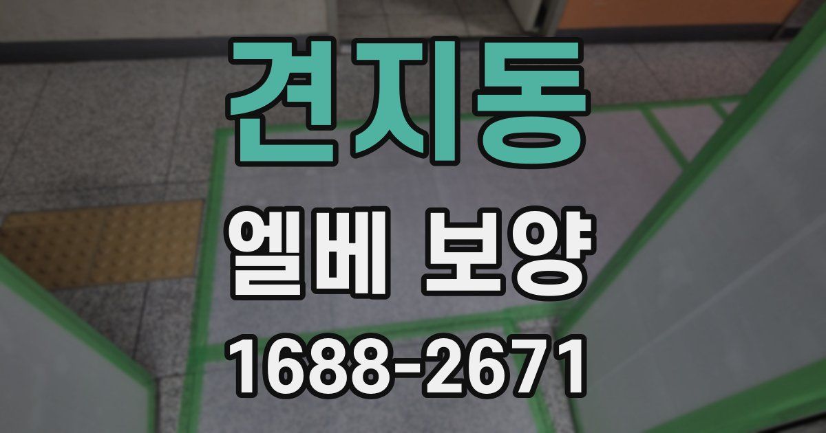 견지동 엘베 보양