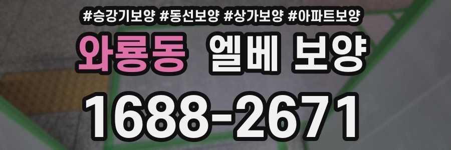 와룡동 엘베 보양