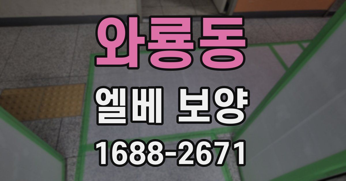 와룡동 엘베 보양