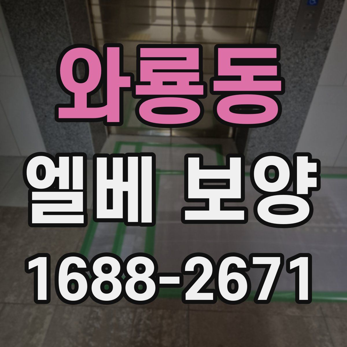 와룡동 엘베 보양