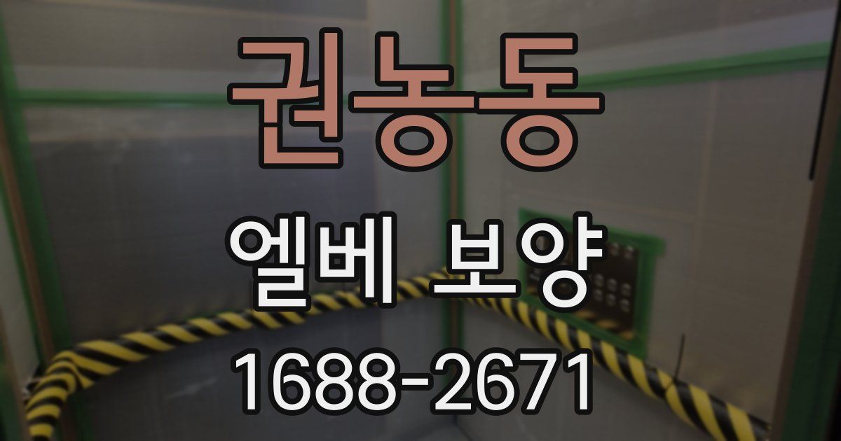 권농동 엘베 보양