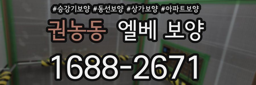 권농동 엘베 보양