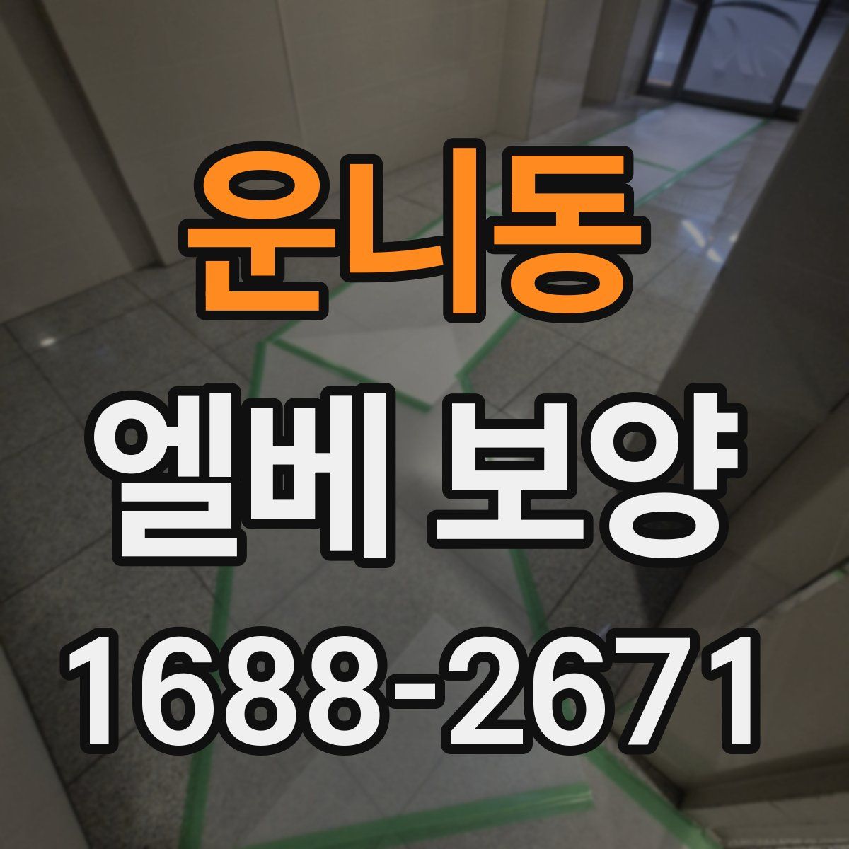 운니동 엘베 보양