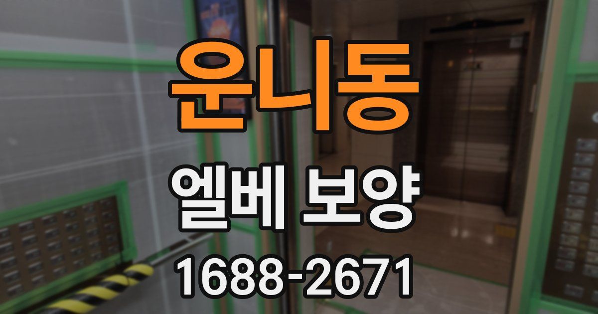 운니동 엘베 보양