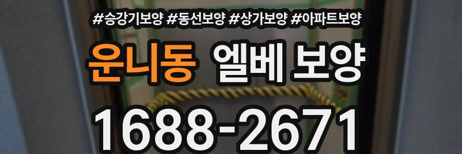 운니동 엘베 보양