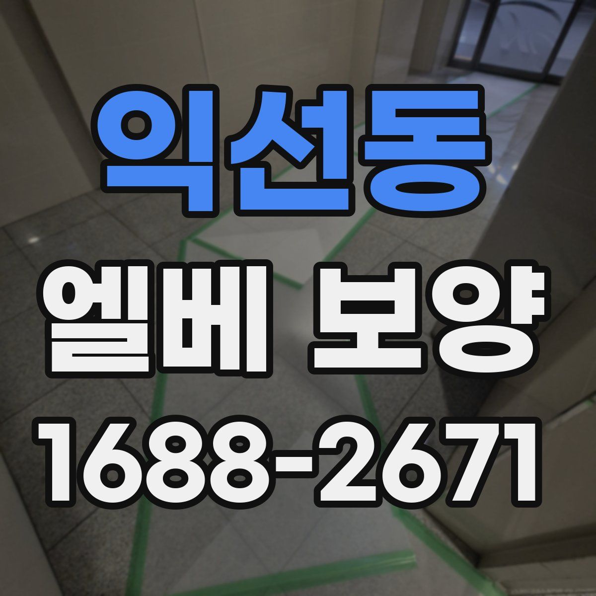 익선동 엘베 보양