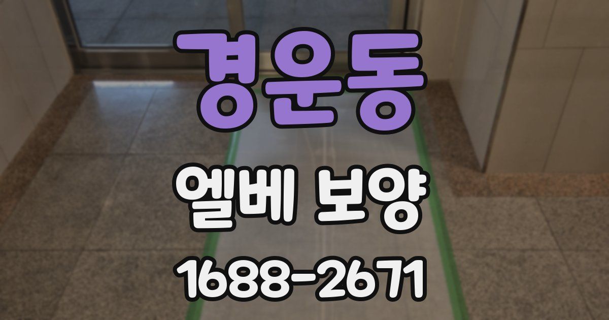 경운동 엘베 보양