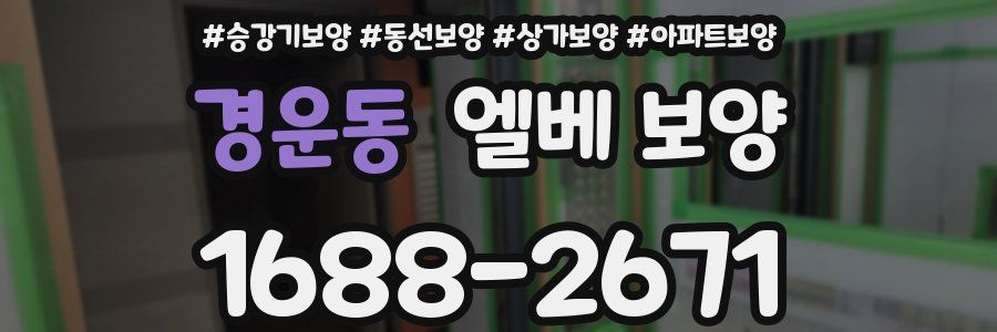 경운동 엘베 보양