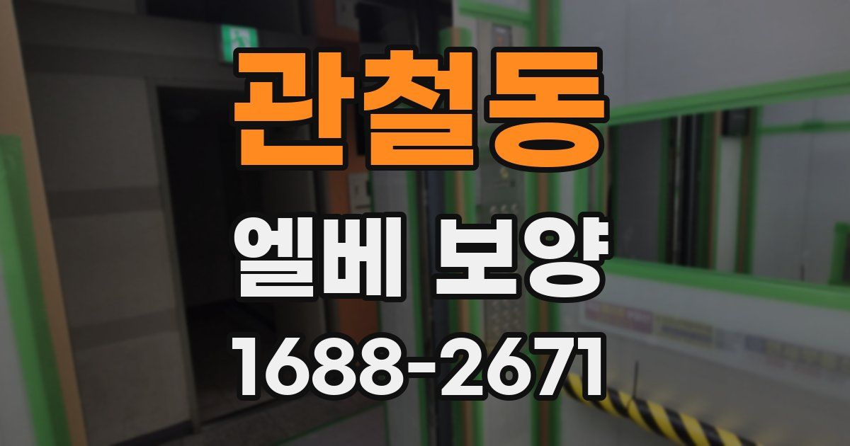 관철동 엘베 보양