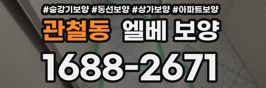 관철동 엘베 보양