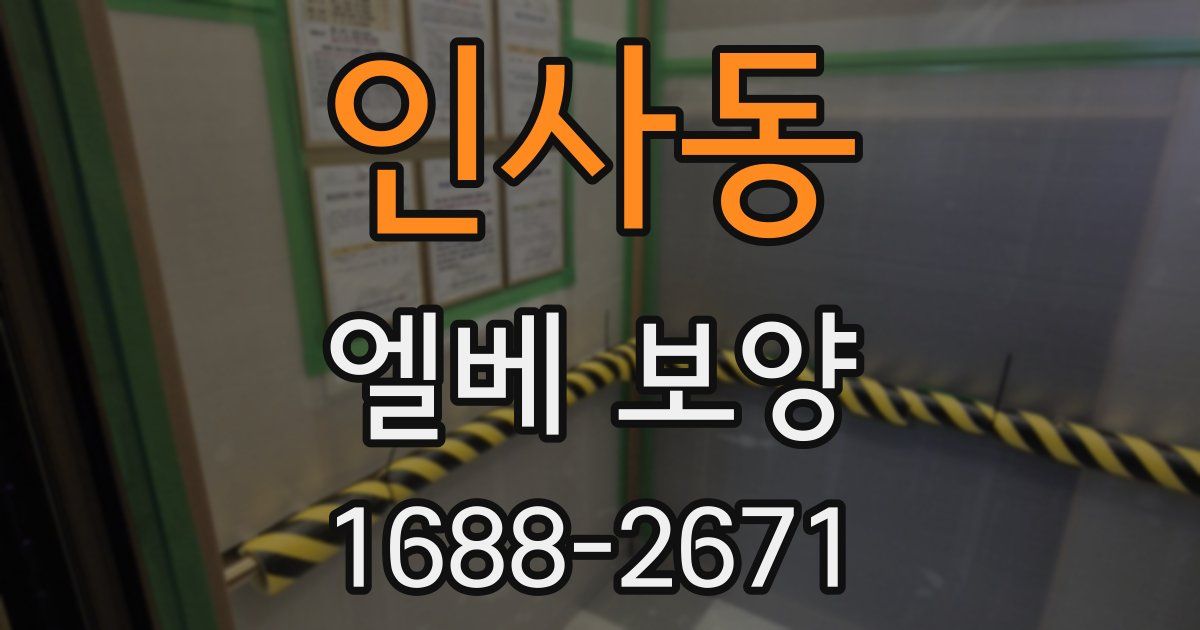 인사동 엘베 보양