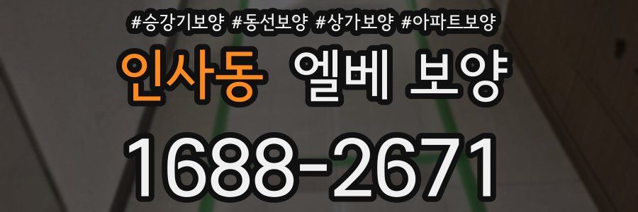 인사동 엘베 보양
