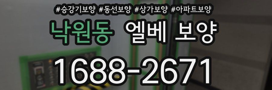 낙원동 엘베 보양