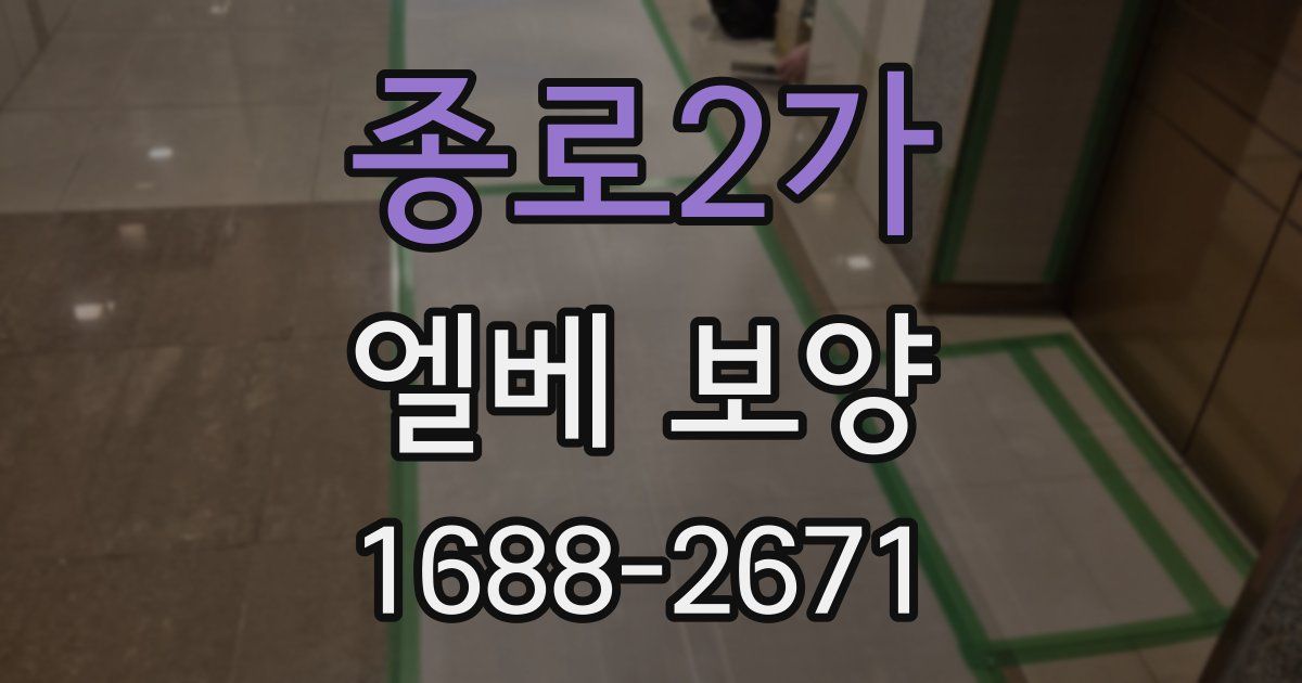 종로2가 엘베 보양