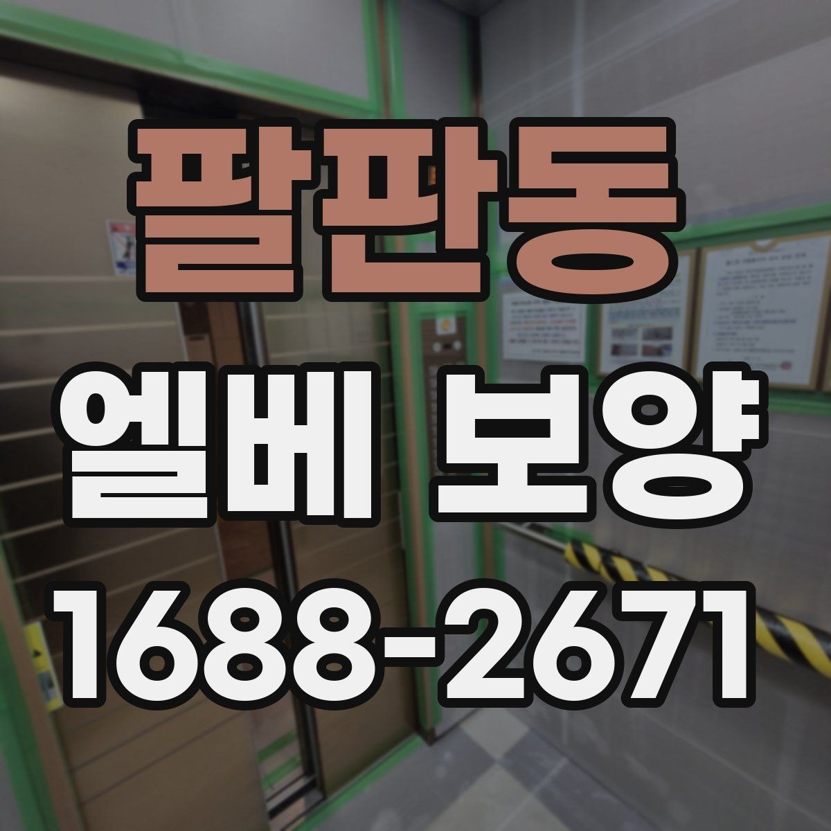 팔판동 엘베 보양 테이프와 부자재 선택할 때 볼 점