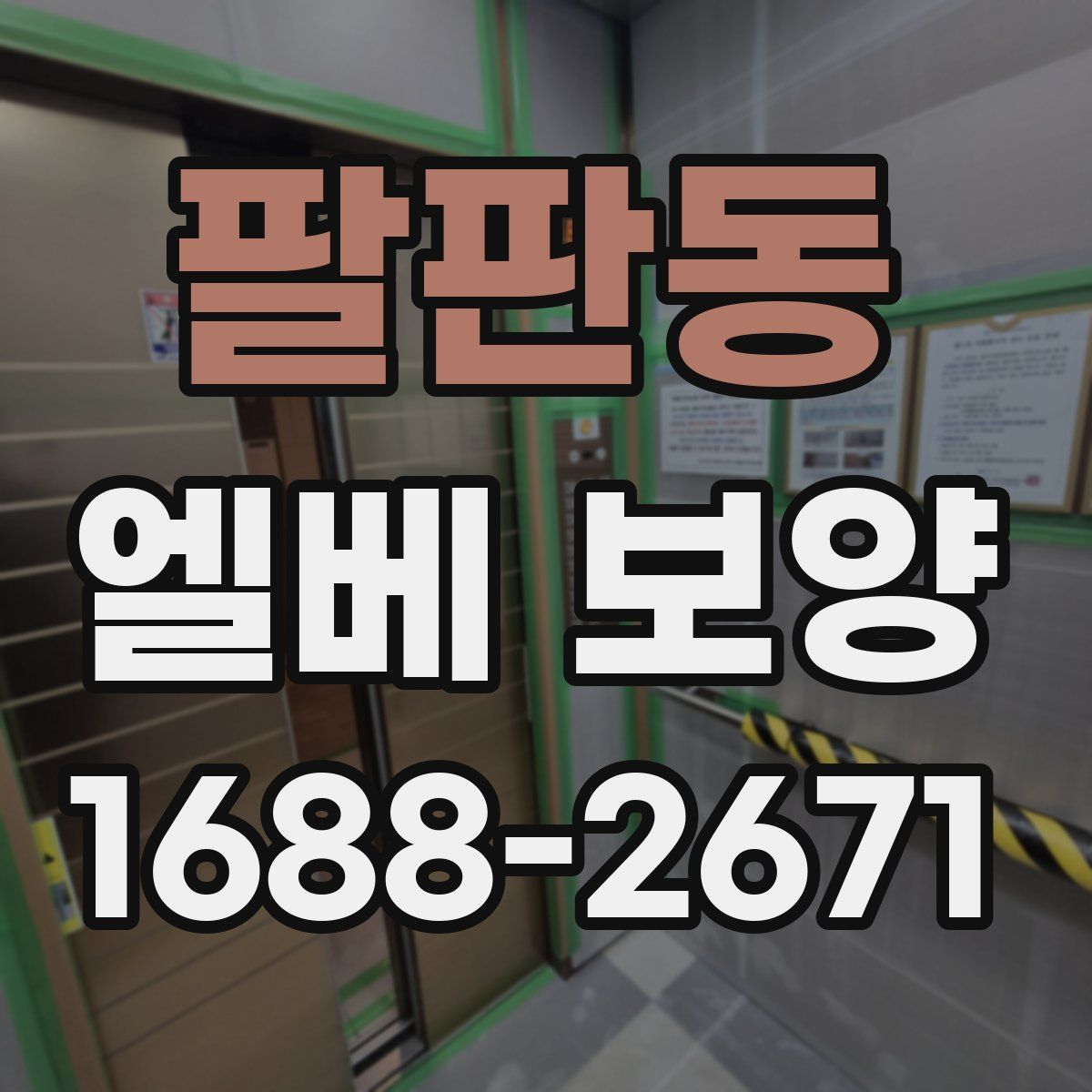 팔판동 엘베 보양