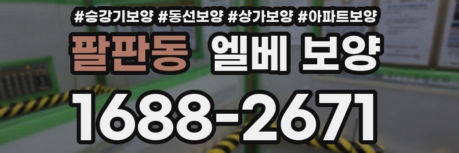 팔판동 엘베 보양