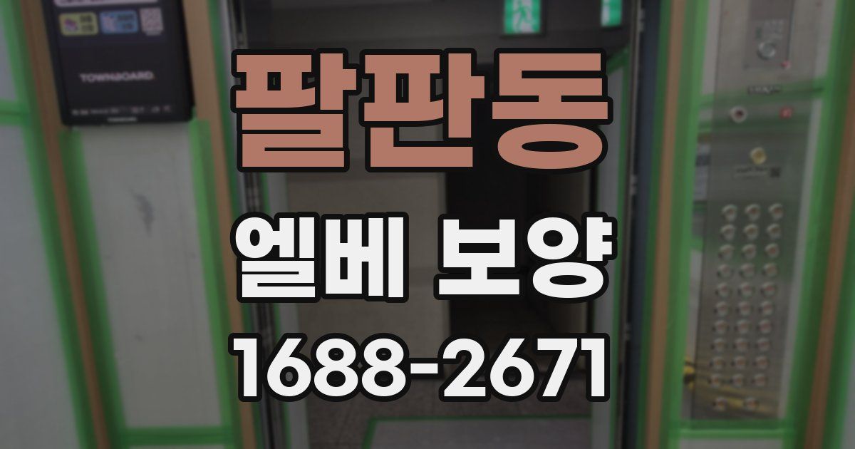 팔판동 엘베 보양
