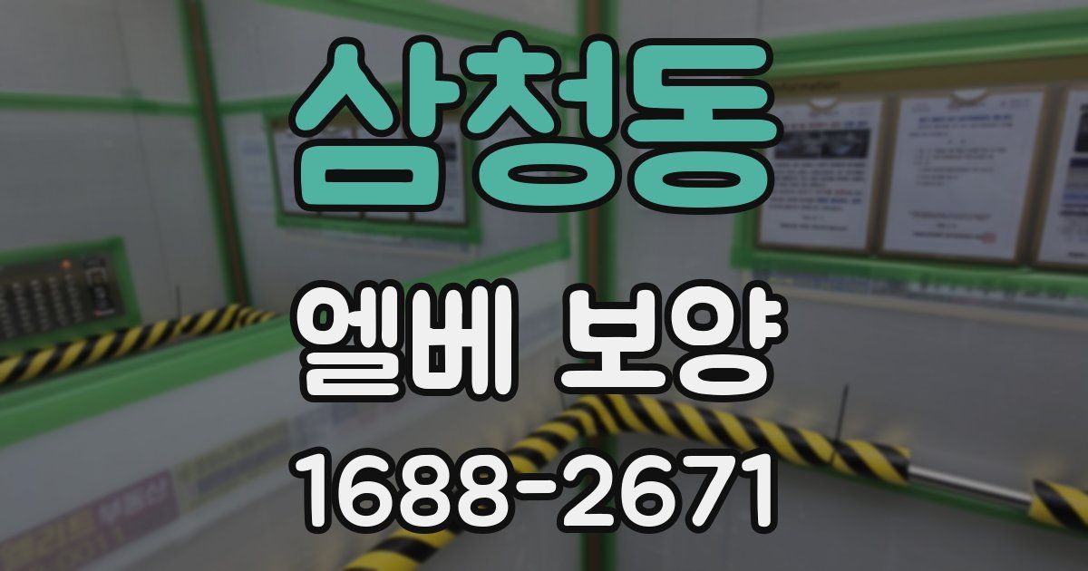 삼청동 엘베 보양