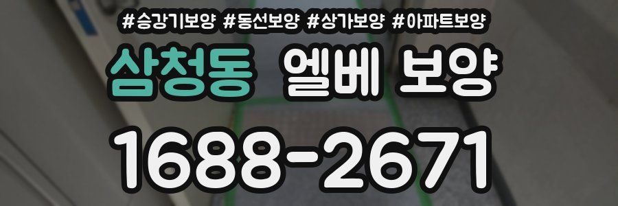 삼청동 엘베 보양